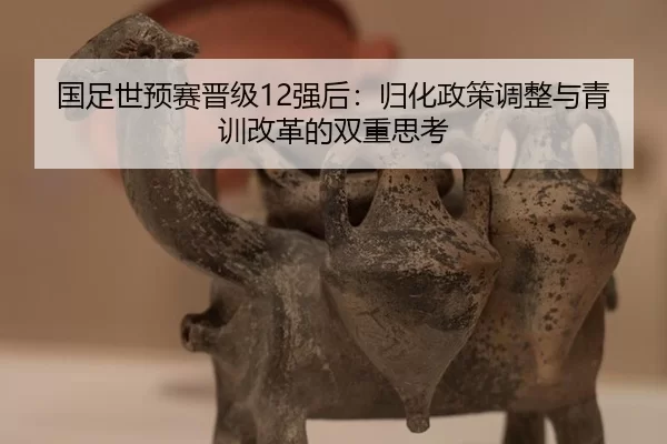 guo-zu-shi-yu-sai-jin-ji-qiang-hou-gui-hua-zheng-ce-tiao-zheng-yu-qing-xun-gai-ge-de-shuang-chong-si-kao-2-194.jpg